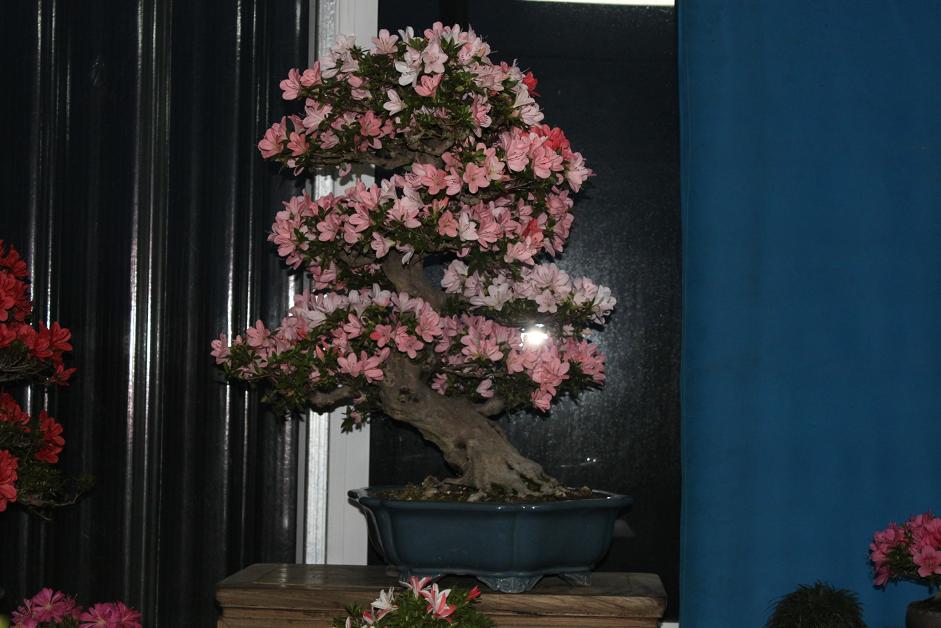 Ƭ 015.jpg