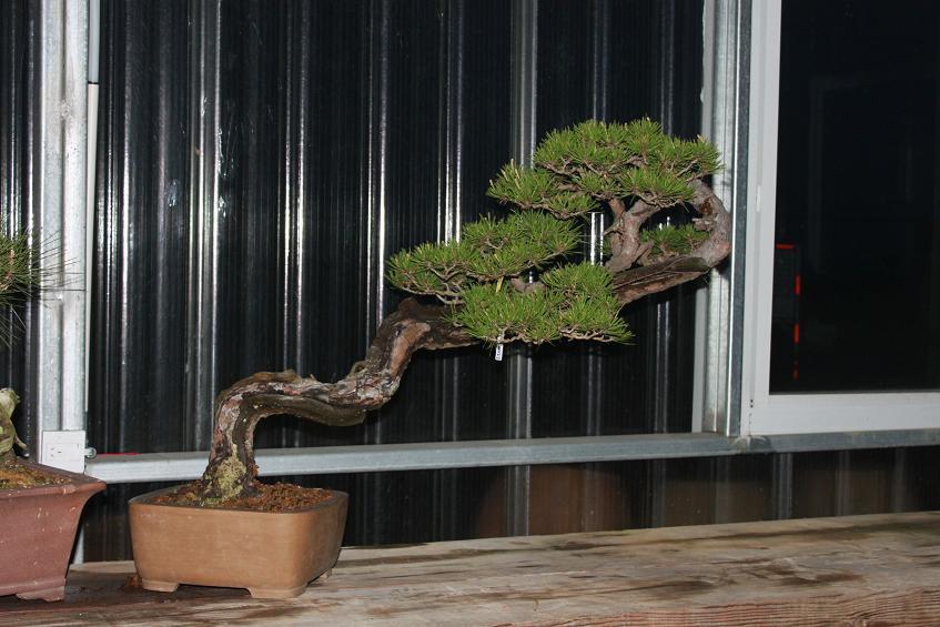 Ƭ 017.jpg