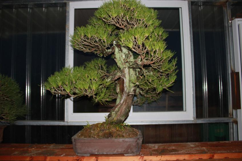Ƭ 018.jpg