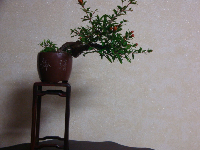 DSC03837.JPG