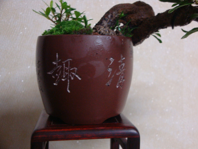 DSC03840.JPG