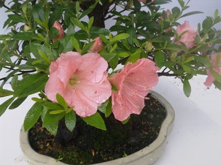 20130518060.jpg