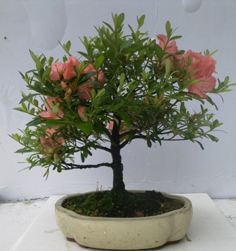 20130518061.jpg