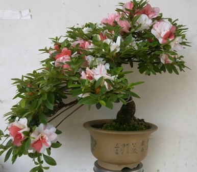 20130519082.jpg