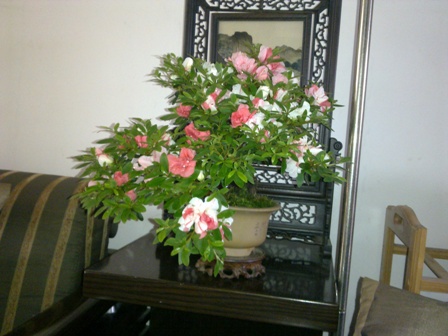 20130519085.jpg