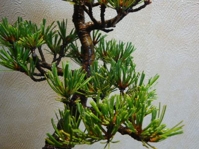 DSC03847.JPG