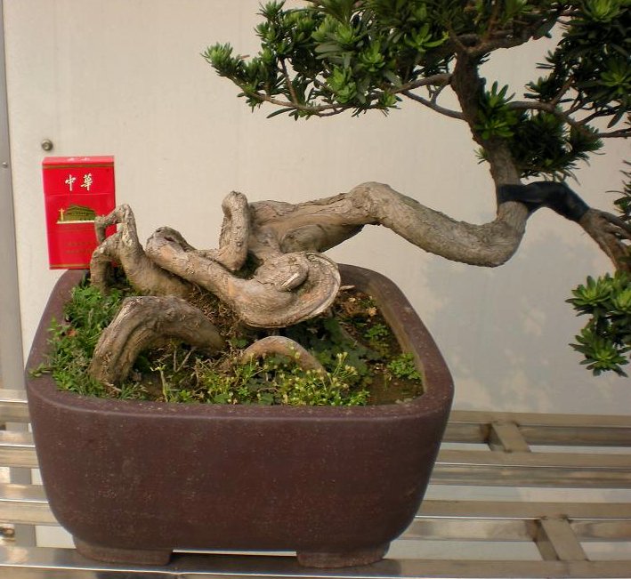 Ƭ 080.jpg