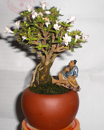 CIMG1120_.jpg