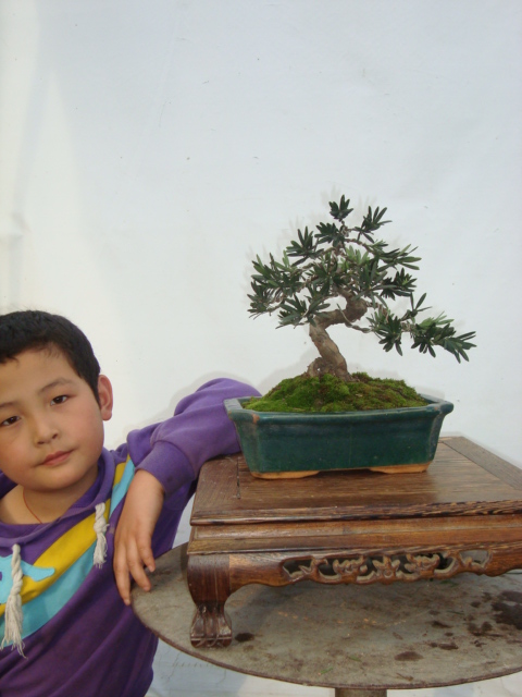 DSC07062.jpg
