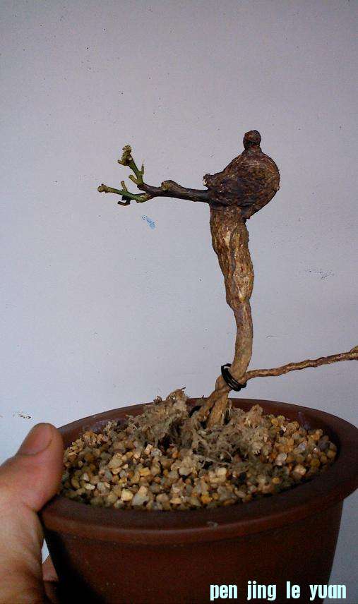 IMG0514130200.jpg