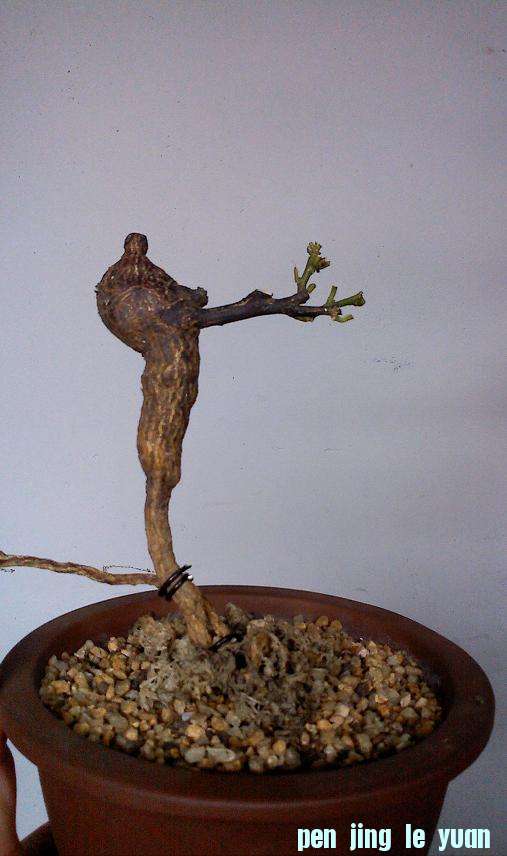 IMG0514130300.jpg