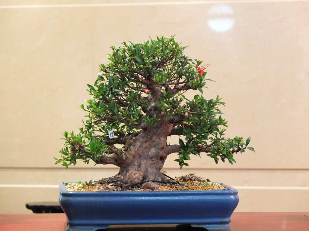 DSCF0290.jpg