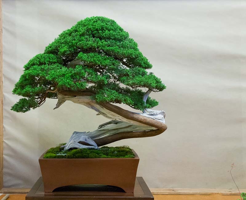 120505 067.jpg