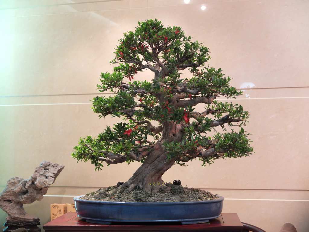 DSCF0380.jpg