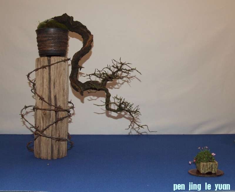 Noelanders Trophy XIV 2013 19-01-2013 233.jpg