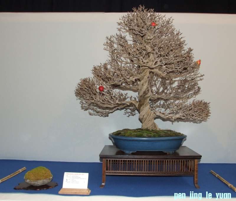 Noelanders Trophy XIV 2013 19-01-2013 274.jpg