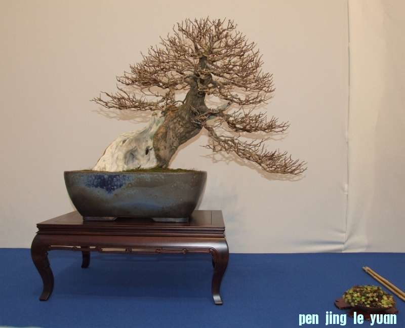 Noelanders Trophy XIV 2013 19-01-2013 314.jpg