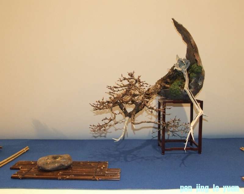 Noelanders Trophy XIV 2013 19-01-2013 457.jpg