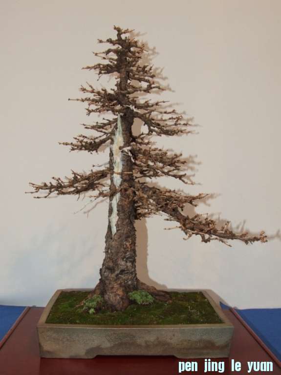 Noelanders Trophy XIV 2013 19-01-2013 319.jpg