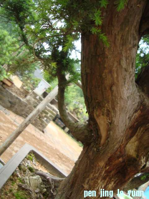 DSC07072.jpg
