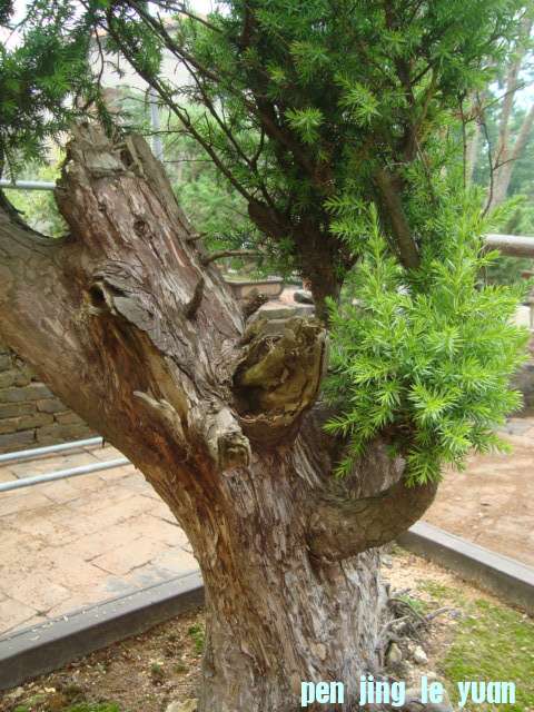 DSC07074.jpg