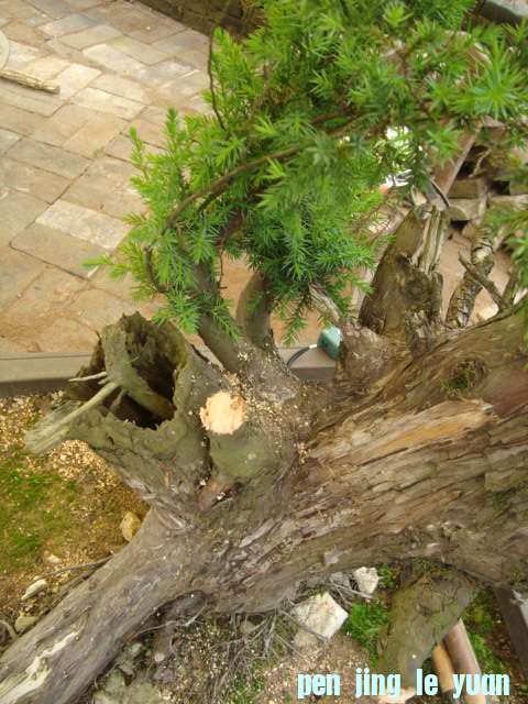 DSC07077.jpg