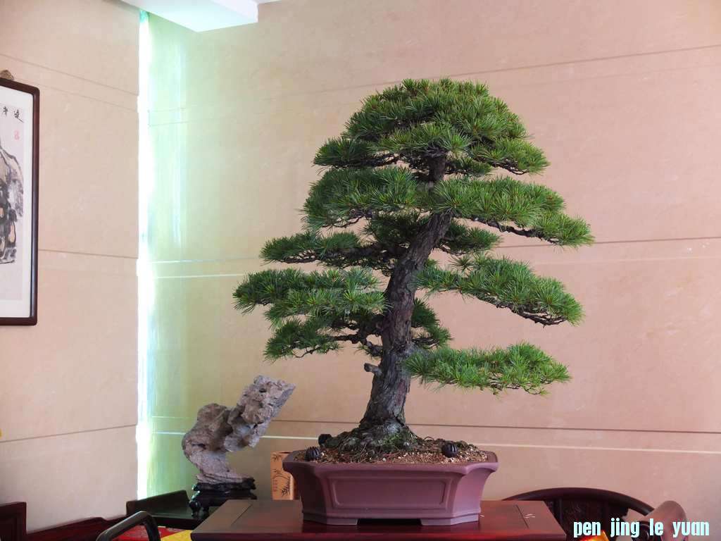 DSCF0629.jpg