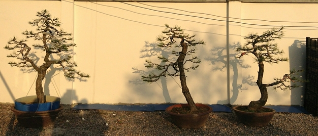 085_2345ͼ.jpg