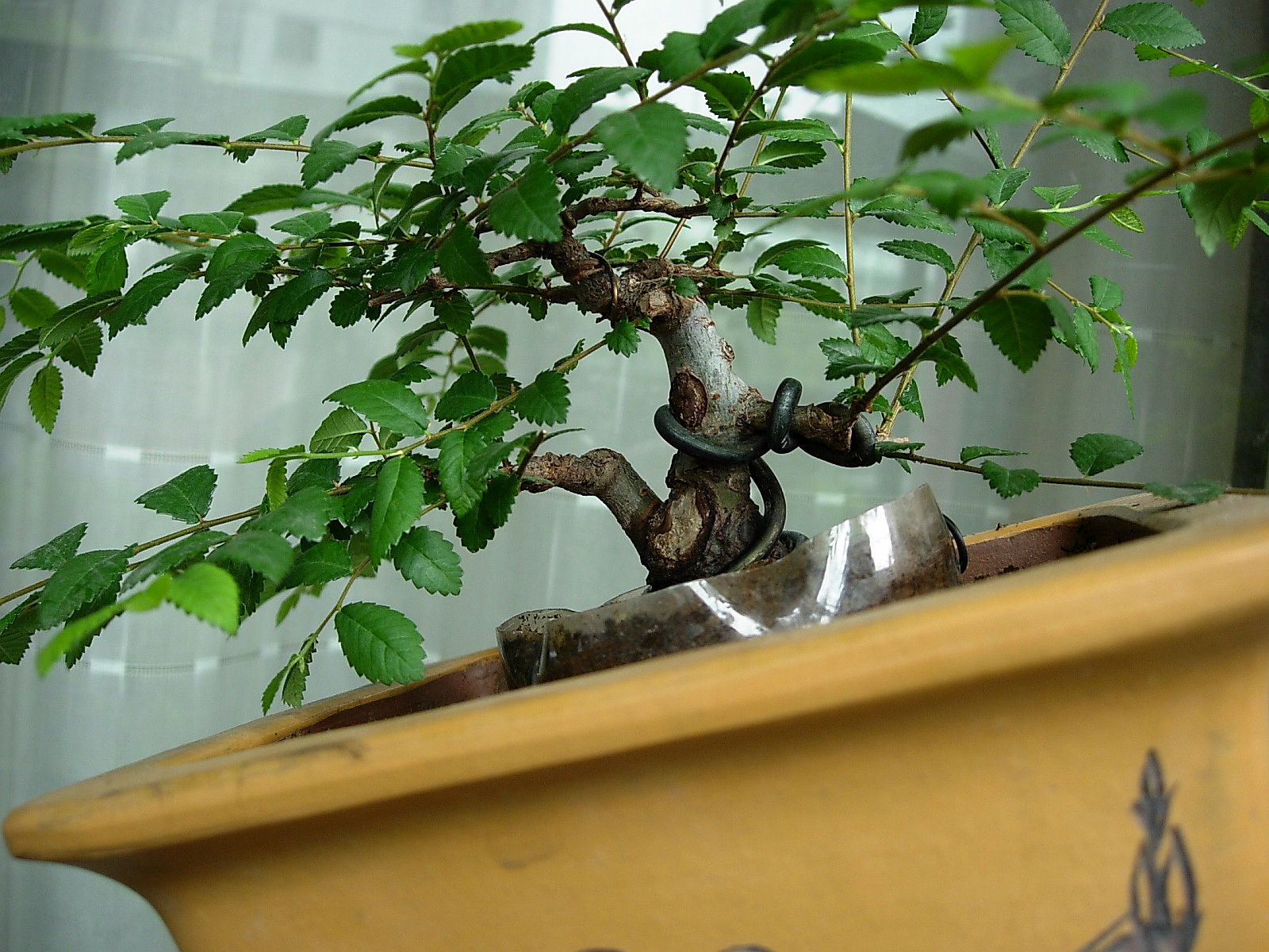 DSCN9851_.jpg