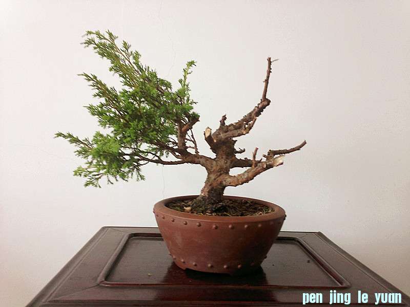 20130523110_.jpg