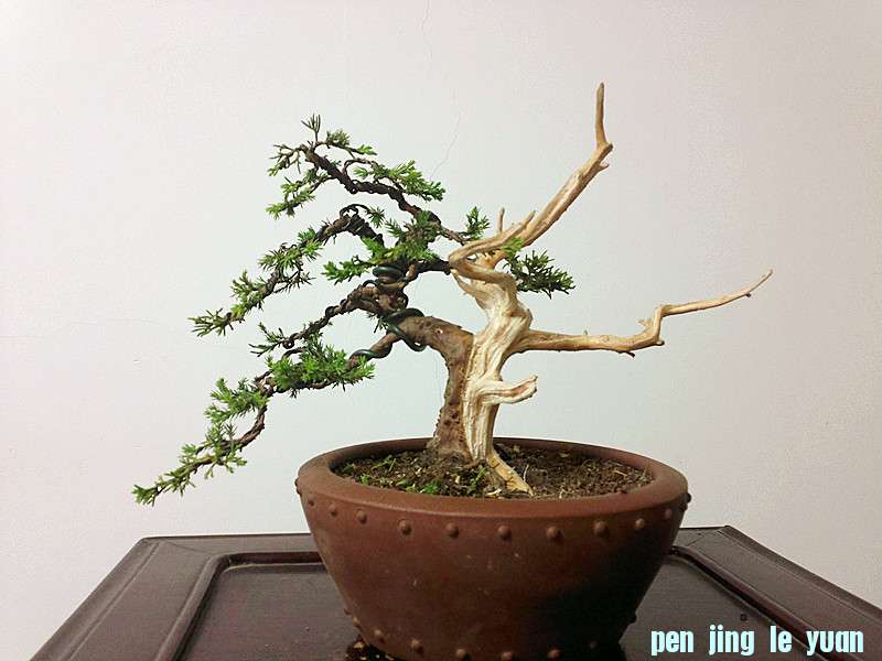 20130523117_.jpg