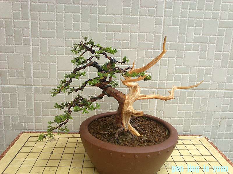 20130524118_.jpg
