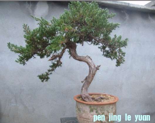 QQͼƬ20130524114756.jpg