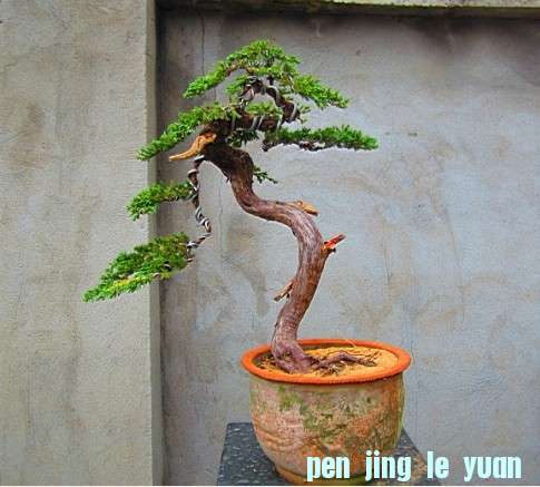 QQͼƬ20130524114807.jpg