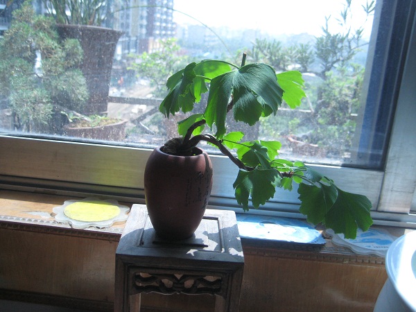 IMG_6216.JPG