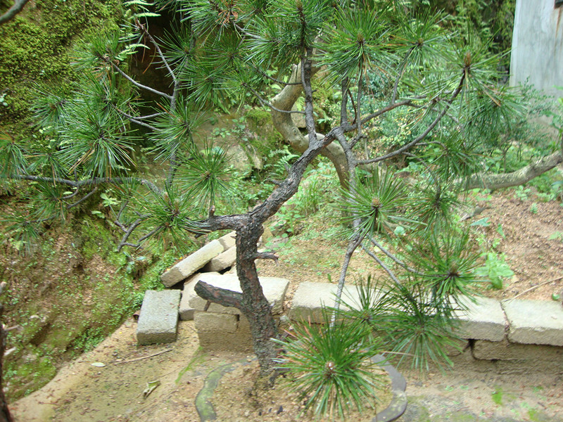 DSC01087_.jpg