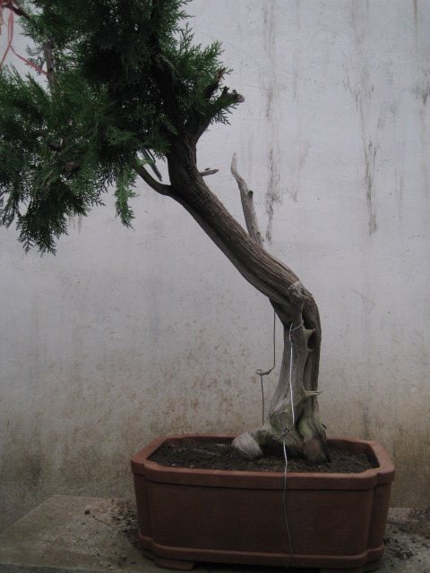 IMG_7747.JPG