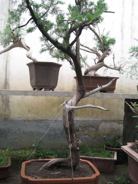 IMG_7748.JPG
