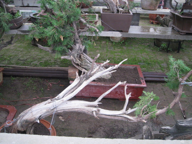 IMG_7750.JPG