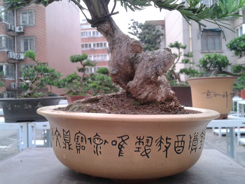 2013-05-20 18.30.39.jpg