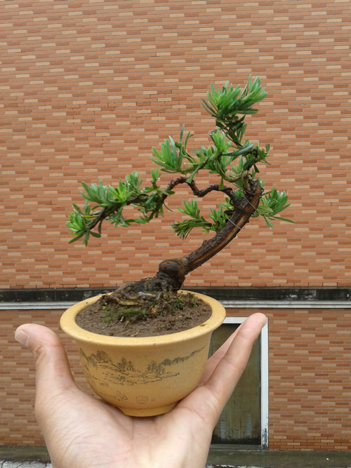 2013-05-17 13.06.26.jpg