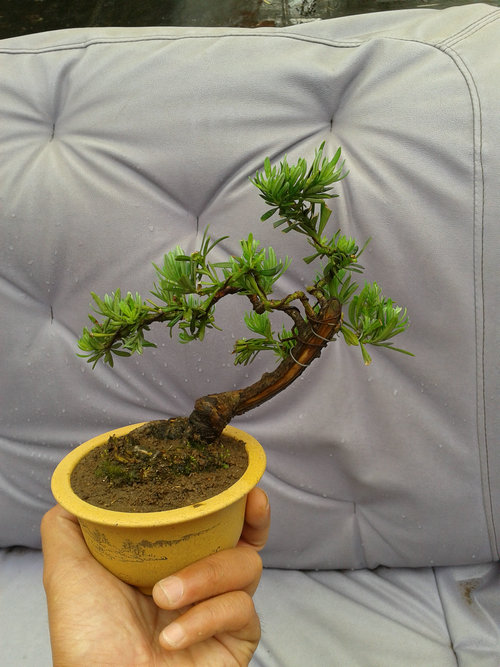 2013-05-17 13.11.17.jpg