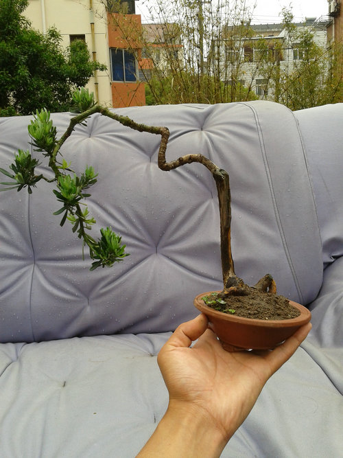 2013-05-17 13.14.05.jpg