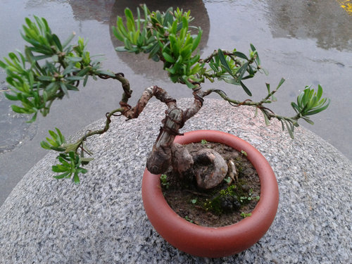 2013-05-17 17.56.37.jpg