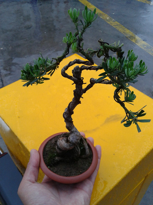 2013-05-17 18.00.16.jpg