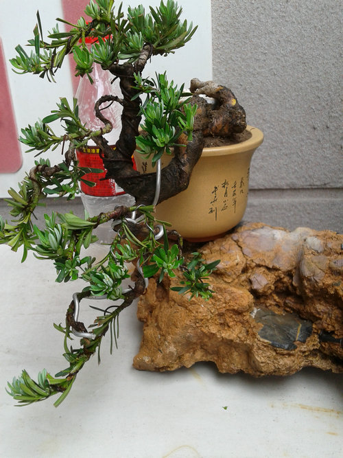2013-05-17 13.53.44.jpg