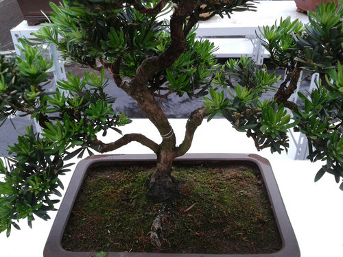 2013-05-26 13.42.33.jpg