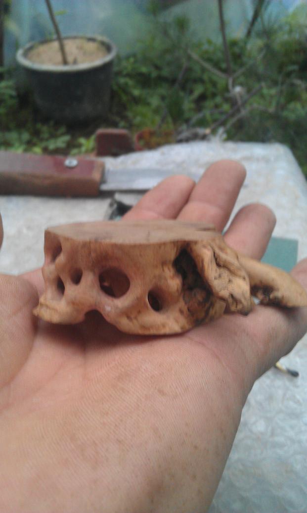 IMAG0063.jpg