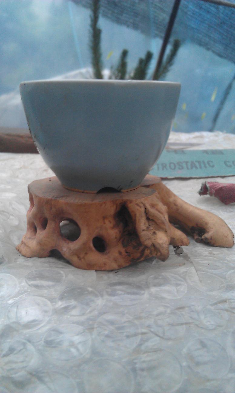IMAG0066.jpg