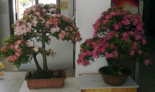 20130526189.jpg